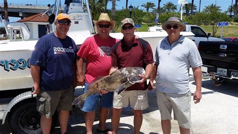 daytona offshore fishing report